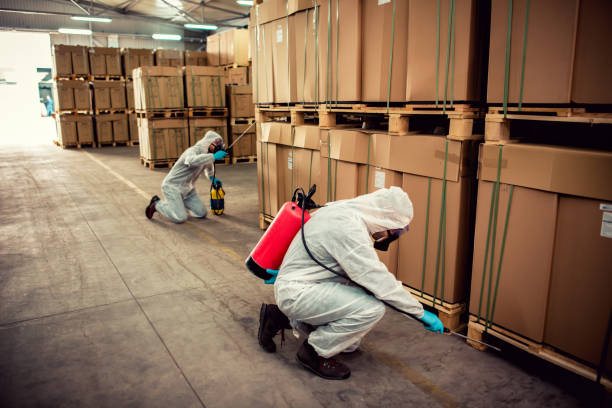 Pest Prevention Services in Mercer Island, WA