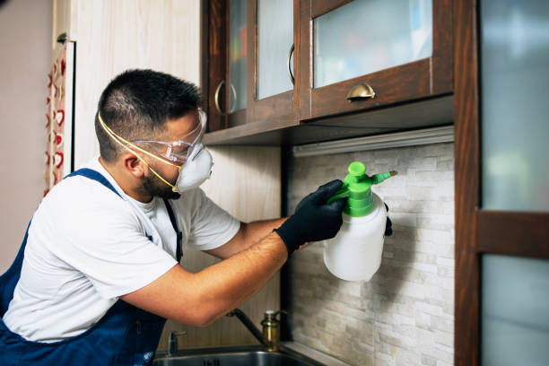 Best Wildlife Control Services  in Mercer Island, WA