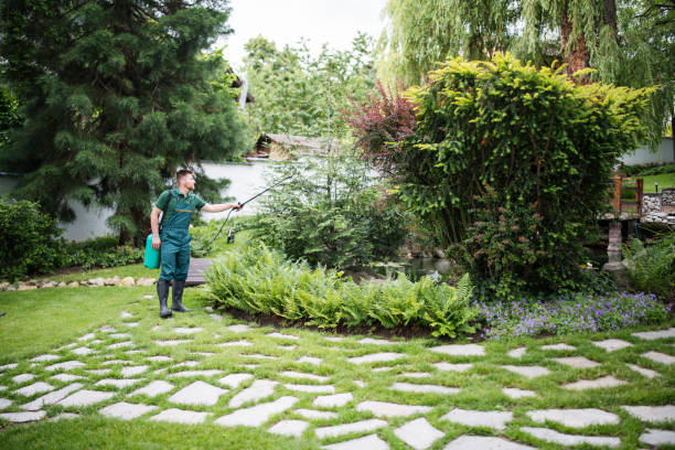 Best Termite Control Services  in Mercer Island, WA