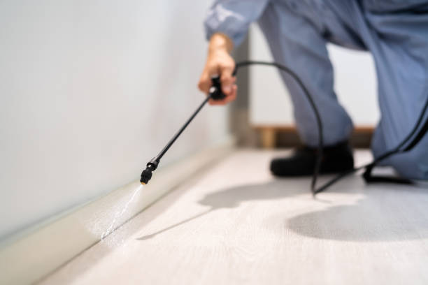 Wildlife Control Services in Mercer Island, WA