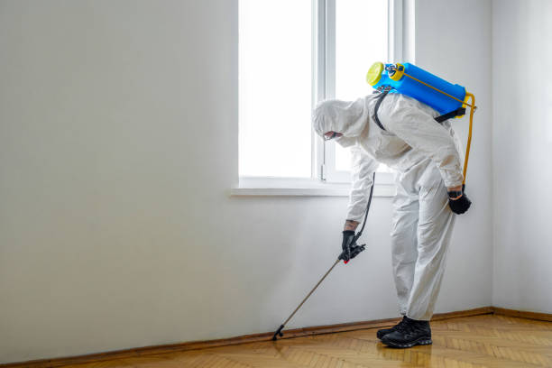 Best Pest Removal Services  in Mercer Island, WA