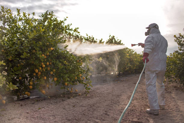 Best Best Pest Control Companies  in Mercer Island, WA