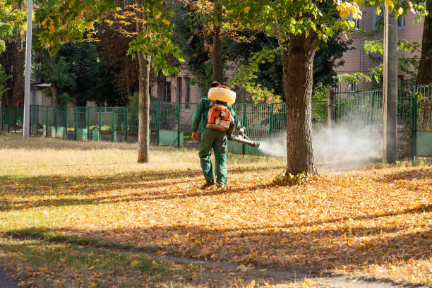 Best Affordable Pest Control Services  in Mercer Island, WA