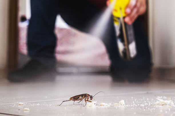 Pest Control Cost in Mercer Island, WA