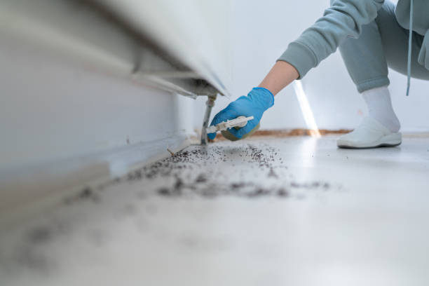 Best Pest Control Cost  in Mercer Island, WA