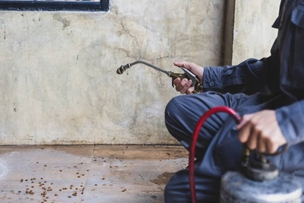 Best Local Pest Control Services  in Mercer Island, WA