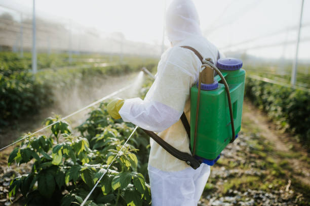 Best Pest Control Treatment  in Mercer Island, WA